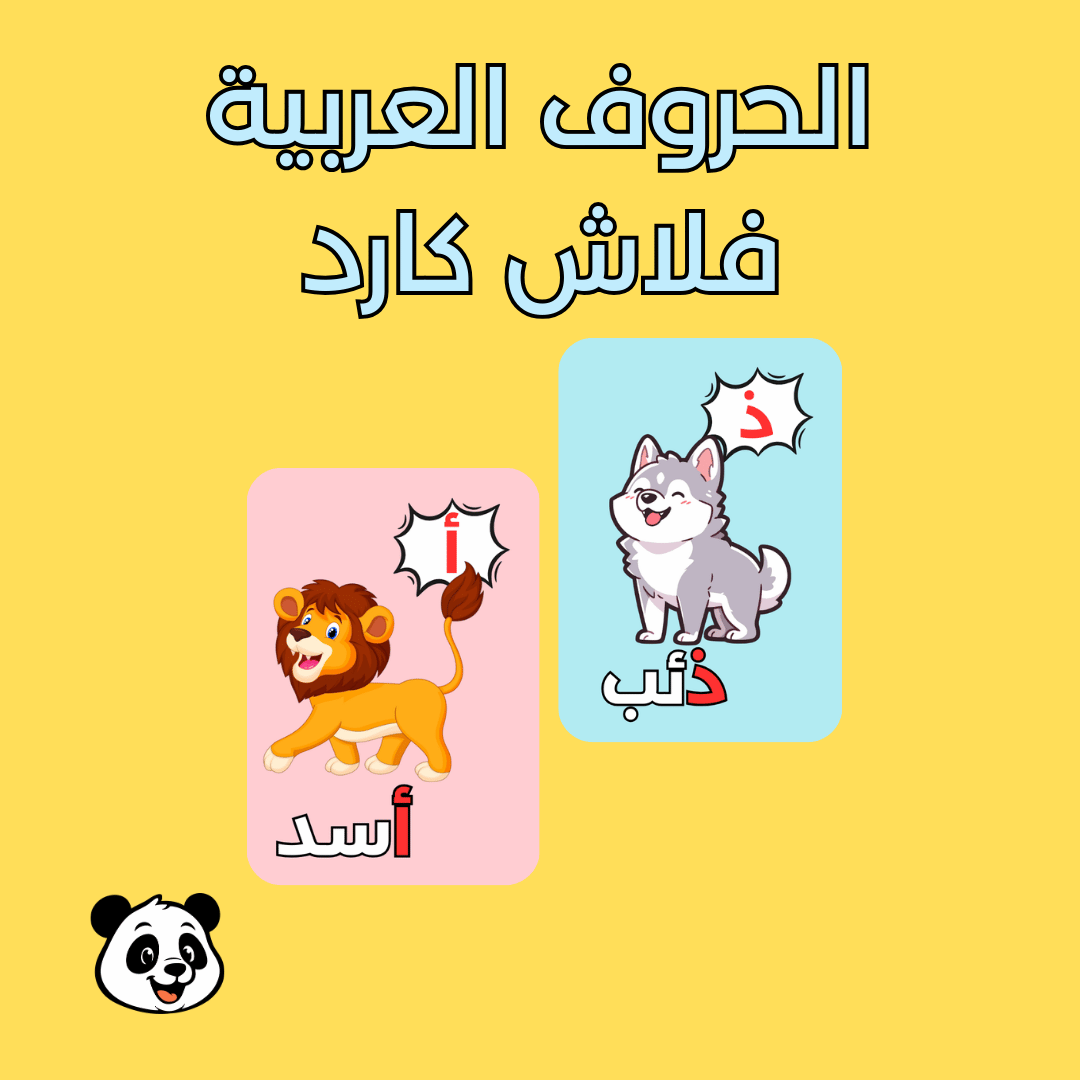 مجموعة البدايات فلاش كارد