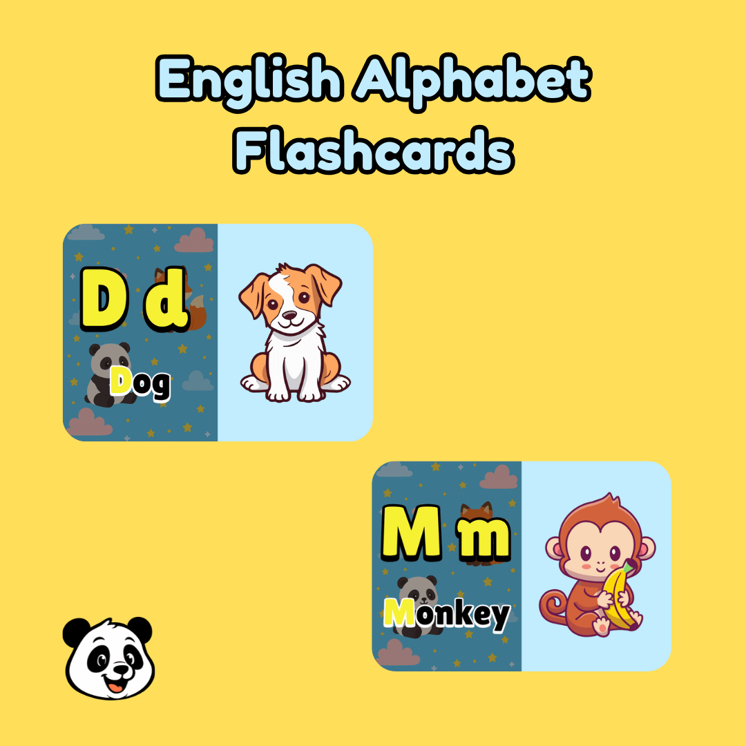 Starter Pack Flash Cards