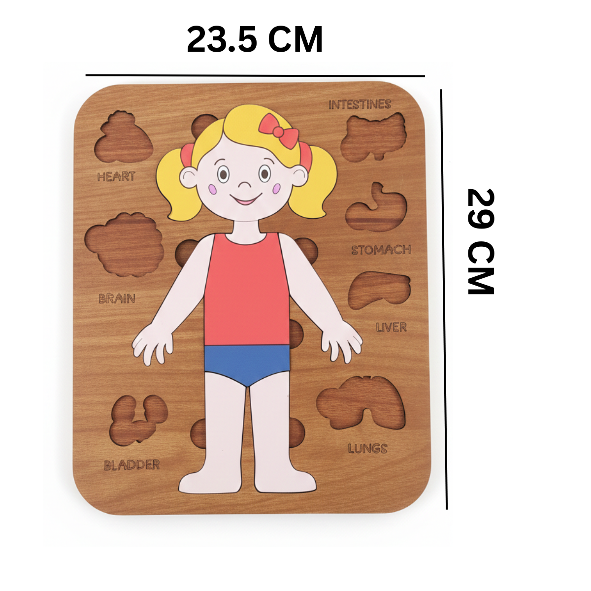 Montessori Jigsaw Puzzle of Human Structure Kids Human Learning Toy Anatomy Organ Model Anatomy Toy Children Human Organ Education Toys Human Organ Teaching Aids (Girl)