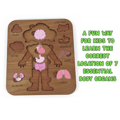 Montessori Jigsaw Puzzle of Human Structure Kids Human Learning Toy Anatomy Organ Model Anatomy Toy Children Human Organ Education Toys Human Organ Teaching Aids (Girl)