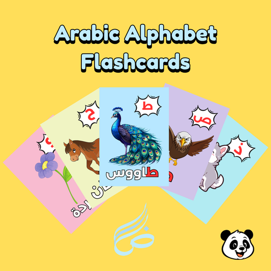 Arabic Alphabet Flashcards – 28 Cards