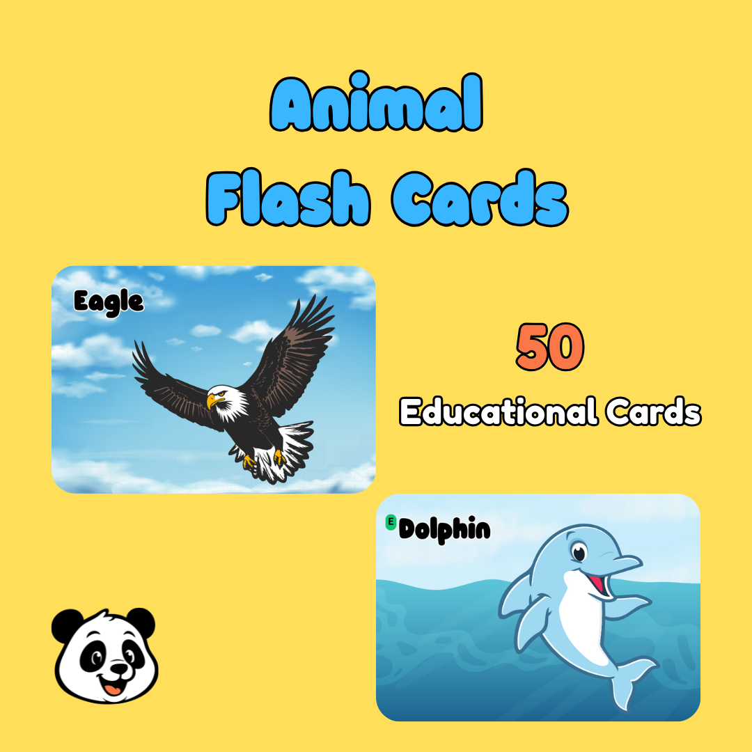 Animal Flash Cards