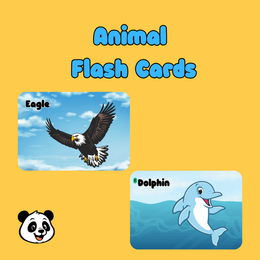 Animal Flash Cards