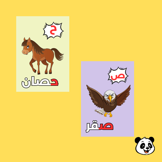 Arabic Alphabet Flashcards – 28 Cards