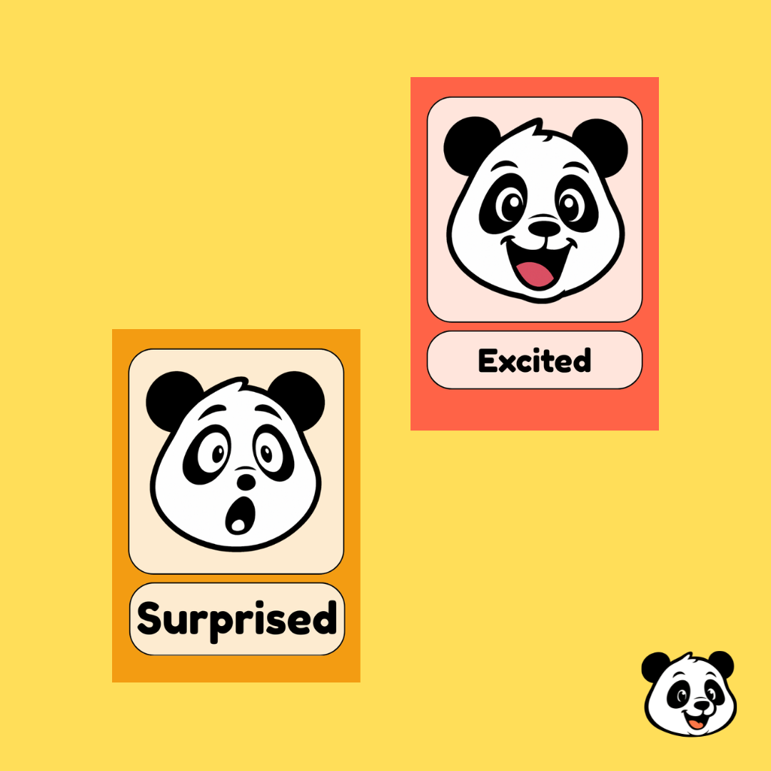 Pandi’s Feelings Flashcards – 13 Cards
