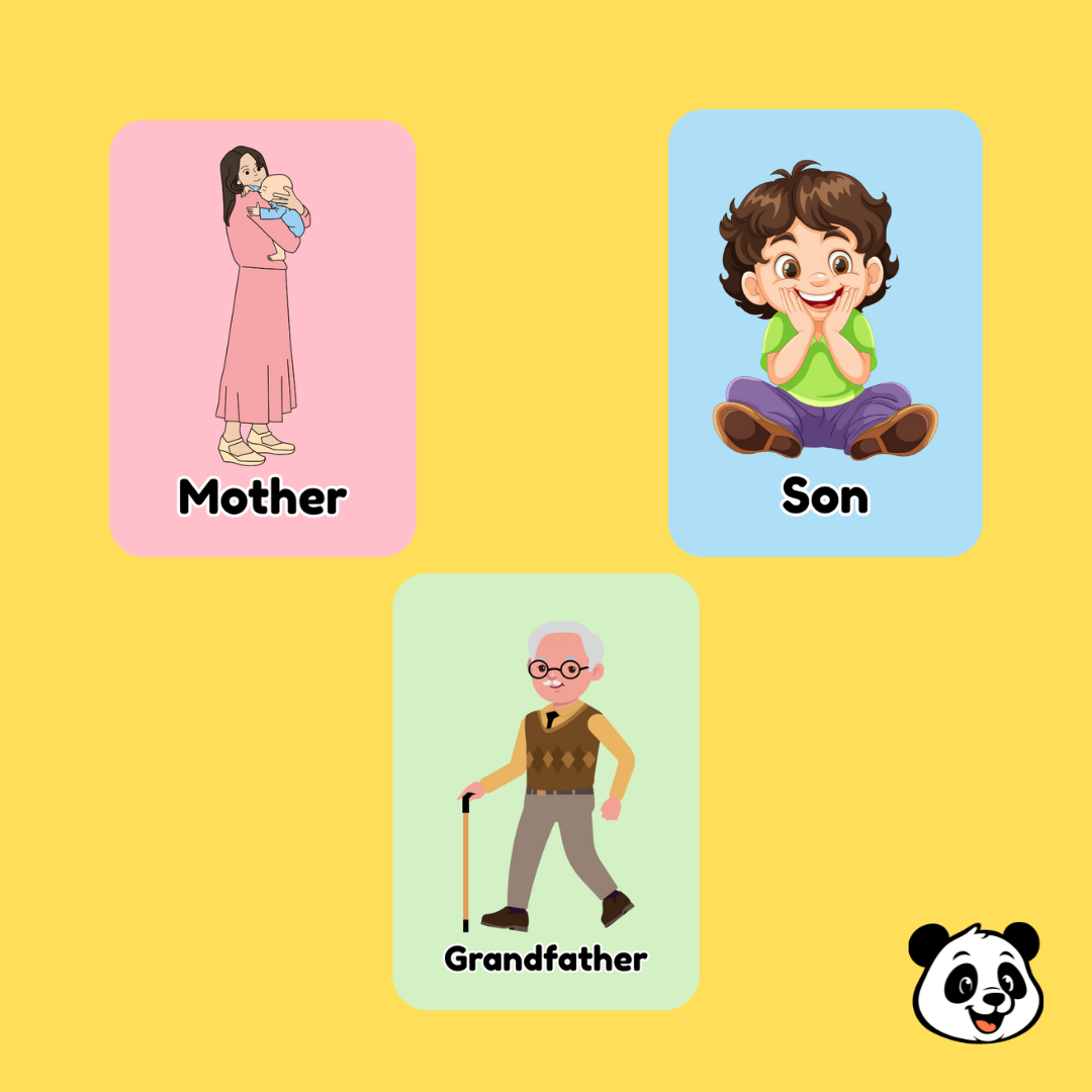 Family Members Flashcards