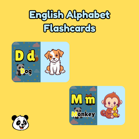 Starter Pack Flash Cards