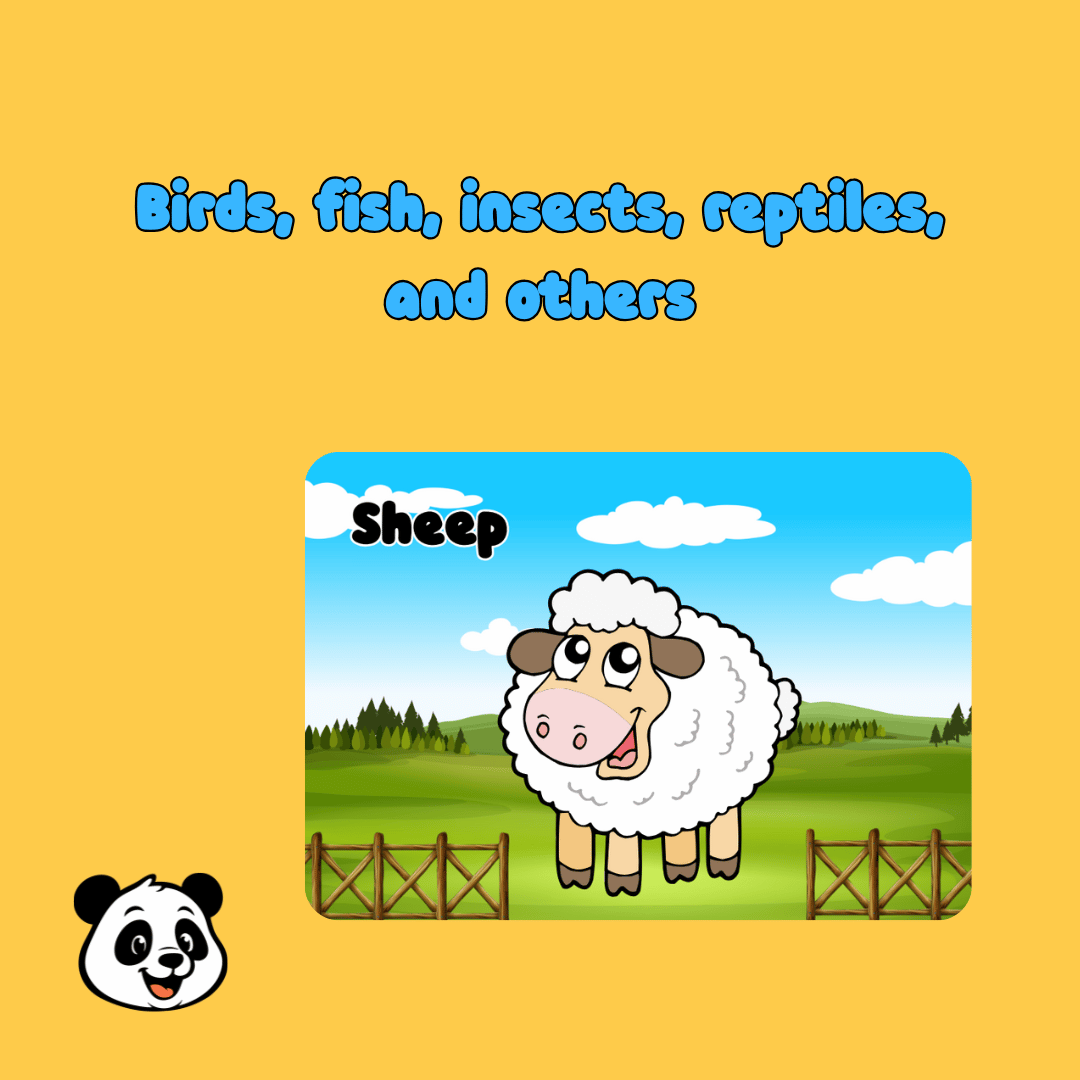 Animal Flash Cards