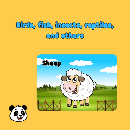 Animal Flash Cards