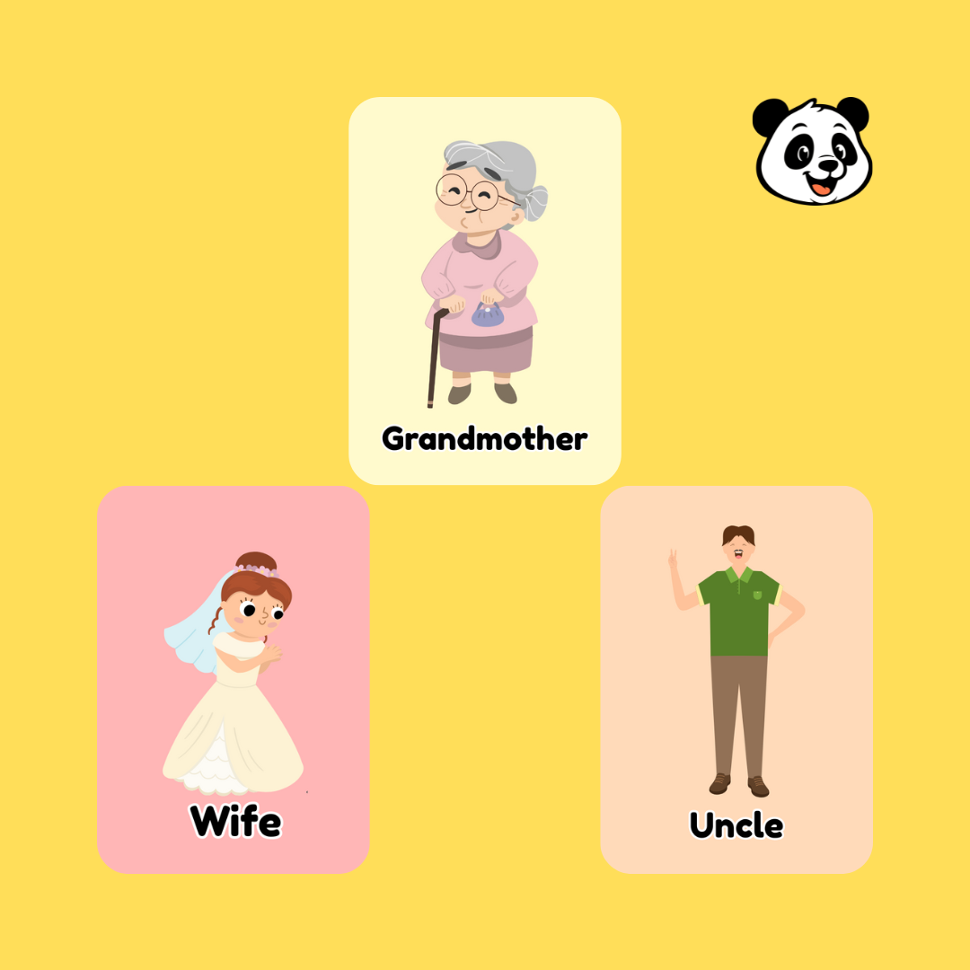 Family Members Flashcards