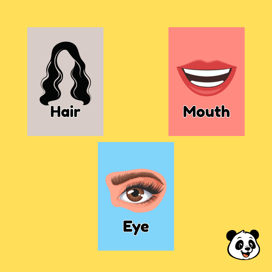 Human Body Parts Flashcards – 21 Cards