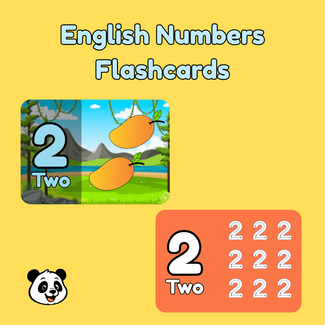 Starter Pack Flash Cards