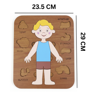 Montessori Jigsaw Puzzle of Human Structure Kids Human Learning Toy Anatomy Organ Model Anatomy Toy Children Human Organ Education Toys Human Organ Teaching Aids (Boy)