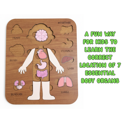 Montessori Jigsaw Puzzle of Human Structure Kids Human Learning Toy Anatomy Organ Model Anatomy Toy Children Human Organ Education Toys Human Organ Teaching Aids (Boy)
