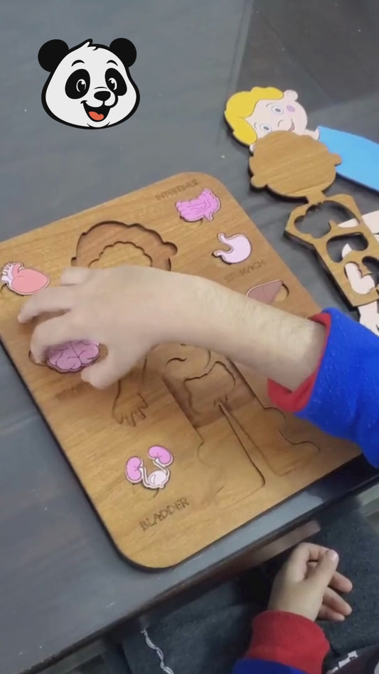 Montessori Jigsaw Puzzle of Human Structure Kids Human Learning Toy Anatomy Organ Model Anatomy Toy Children Human Organ Education Toys Human Organ Teaching Aids (Boy)