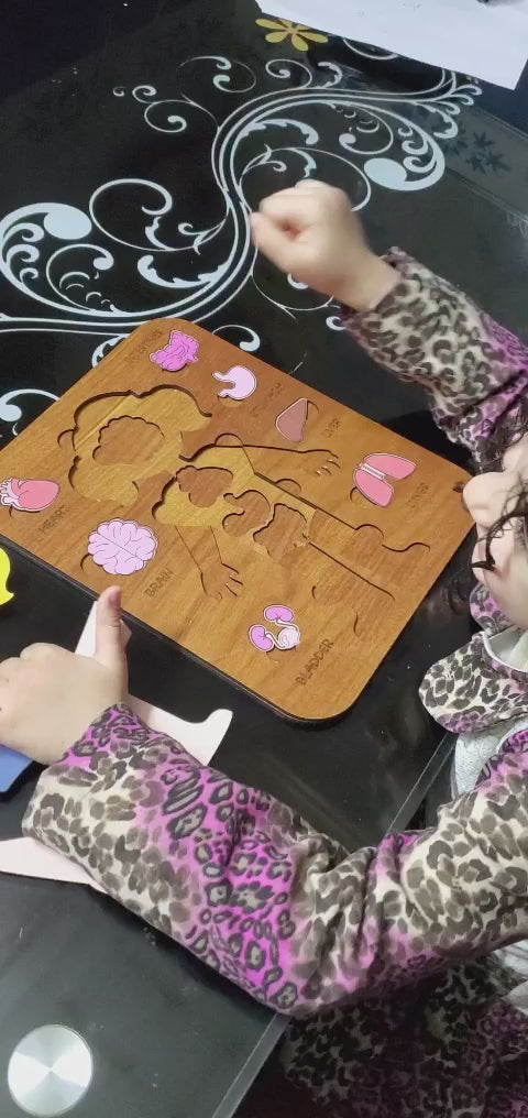 Montessori Jigsaw Puzzle of Human Structure Kids Human Learning Toy Anatomy Organ Model Anatomy Toy Children Human Organ Education Toys Human Organ Teaching Aids (Girl)